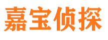 白沙寻人公司